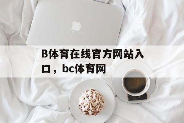 B体育在线官方网站入口，bc体育网